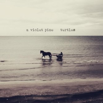 Copertina dell'album Turtles, di A Violet Pine