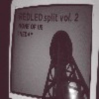 Copertina dell'album Redled split (vol. 2), di None Of Us