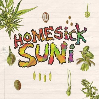 Copertina dell'album 4 Gems from Summer Jams, di Homesick Suni