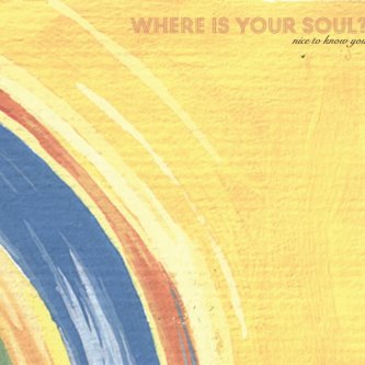 Copertina dell'album Where Is Your Soul?, di Nice To Know You