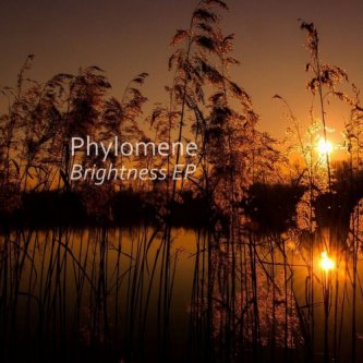Copertina dell'album Brightness, di Phylo