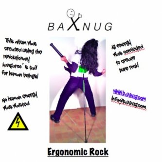 Copertina dell'album Ergonomic Rock, di baxnug
