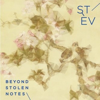 Copertina dell'album Beyond Stolen Note, di Stèv