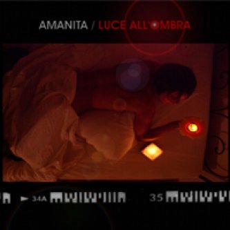 Copertina dell'album Luce all'ombra, di Amanita