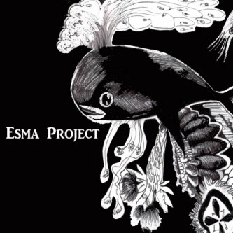 Copertina dell'album Your Nest is the Best, di The Esma Project