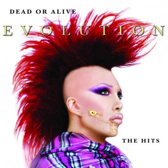 Copertina dell'album Evolution: The Hits, di Dead or Alive
