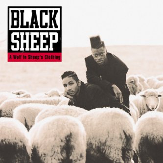 Copertina dell'album A Wolf in Sheep's Clothing, di BLACK SHEEP