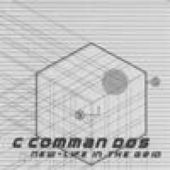Copertina dell'album New-life in the grid, di C Comman Dos