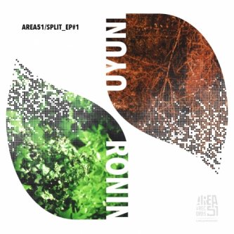 Copertina dell'album AREA51/SPLIT_EP#1, di Ronin