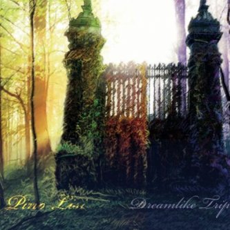 Copertina dell'album Dreamlike trip, di Pino Lisi