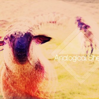 Copertina dell'album Analogical Sheep Ep, di Analogical Sheep