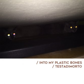 Copertina dell'album split w/ Testadimorto, di Into My Plastic Bones