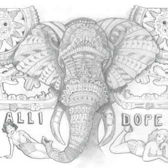 Copertina dell'album Embryo, di Allie's Dope