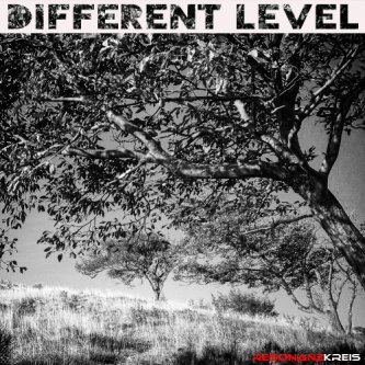 Copertina dell'album Different Level, di Resonanz Kreis
