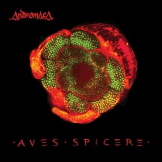 Copertina dell'album Aves Spicere, di Andromaca