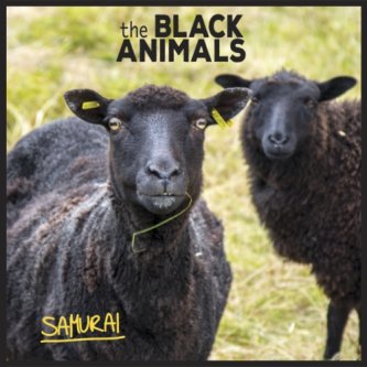 Copertina dell'album Samurai, di The Black Animals