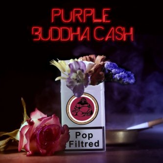Copertina dell'album Pop Filtred, di Purple Buddha Cash