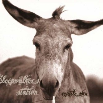 Copertina dell'album reptile skin, di Sleepwalker's station