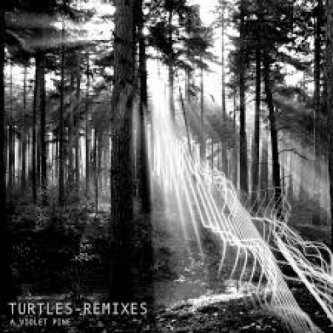 Copertina dell'album Turtles Remixes, di A Violet Pine