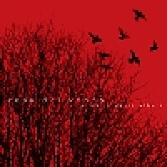 Copertina dell'album Al di là degli alberi, di Casa Del Vento