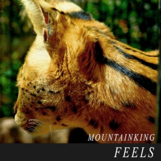 Copertina dell'album FEELS, di Mountain King
