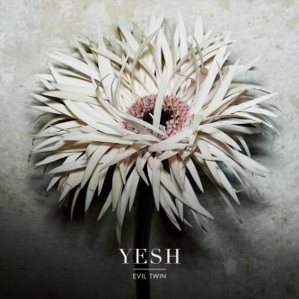 Copertina dell'album YESH, di Evil Twin