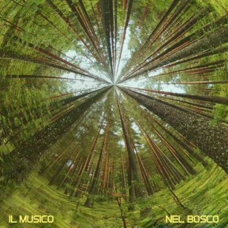 Copertina dell'album Nel Bosco, di Il Musico