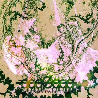 Copertina dell'album Insect's Ritual, di qqqØqqq