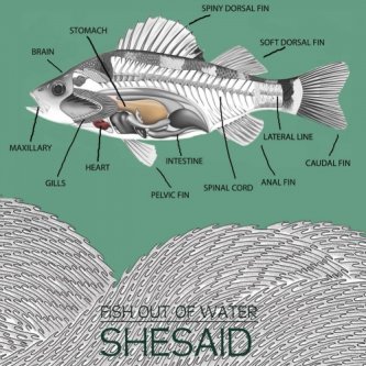 Copertina dell'album Fish out of water, di Shesaid