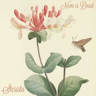 Copertina dell'album Niva is Dead, di Stesista