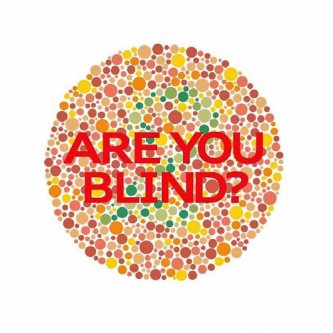 ARE YOU BLIND?
