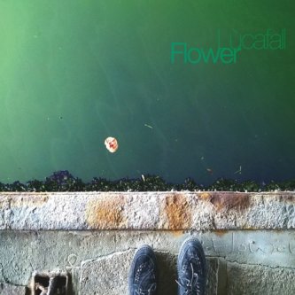 Copertina dell'album Flower, di Lùcafall