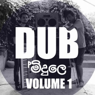 Copertina dell'album Dub Volume 1, di midule Dub