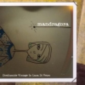 Copertina dell'album Dietilamide Vintage In Lana Di Vetro, di Mandragora