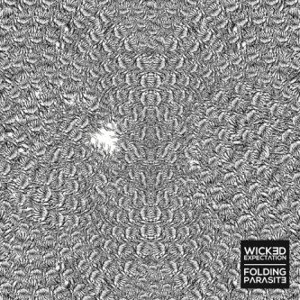 Copertina dell'album Folding Parasite, di Wicked Expectation
