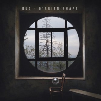 Copertina dell'album O' Brien Shape, di BUG •