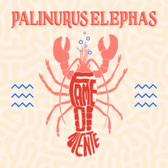 Copertina dell'album Fame di niente, di Palinurus Elephas
