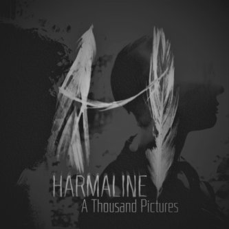 Copertina dell'album A Thousand Pictures, di Harmaline