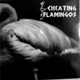 Copertina dell'album EP, di Cheating Flamingos