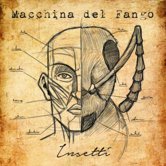 Copertina dell'album Insetti (LP, 2017), di Macchina del Fango