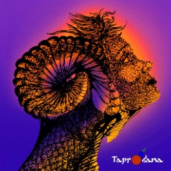 Copertina dell'album Taprobana - Singolo 2016, di Taprobana