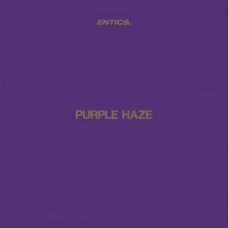 Copertina dell'album Purple Haze, di Entics