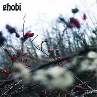 Copertina dell'album ghobi, di ghobi