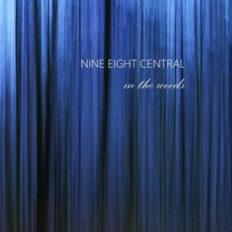 Copertina dell'album In the woods, di nine eight central