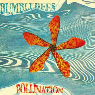 Copertina dell'album Pollination, di Bumblebees