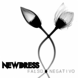 Copertina dell'album Falso Negativo, di Newdress