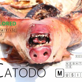 Copertina dell'album CATODO (Really Nagative Music), di ColoredParticles