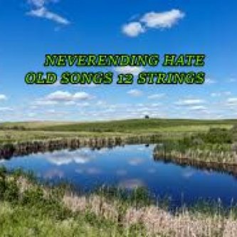 Copertina dell'album NEVERENDING HATE OLD SONGS 12 STRINGS, di Alex Snipers