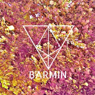 Copertina dell'album Release, di Barmin