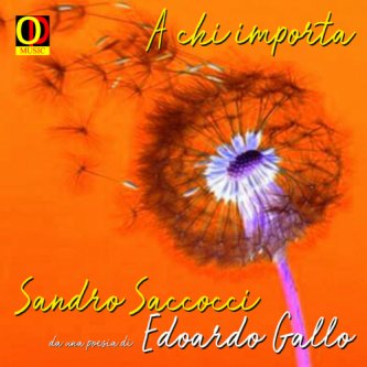 Copertina dell'album A chi importa (single), di Sandro Saccocci & Piero Olmeda